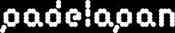 logo-padelapan.webp